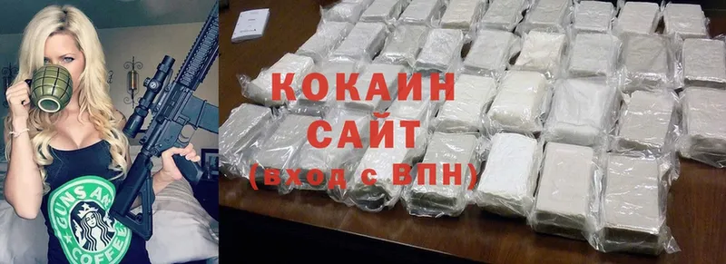 где можно купить   Рассказово  Cocaine Fish Scale 