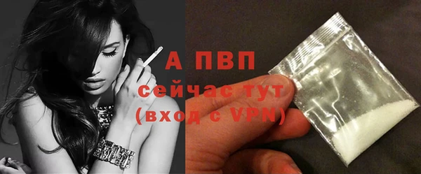 дурь Магас