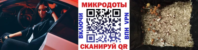 где можно купить   Рассказово  Галлюциногенные грибы ЛСД 