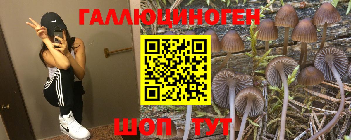 Псилоцибиновые грибы GOLDEN TEACHER Рассказово
