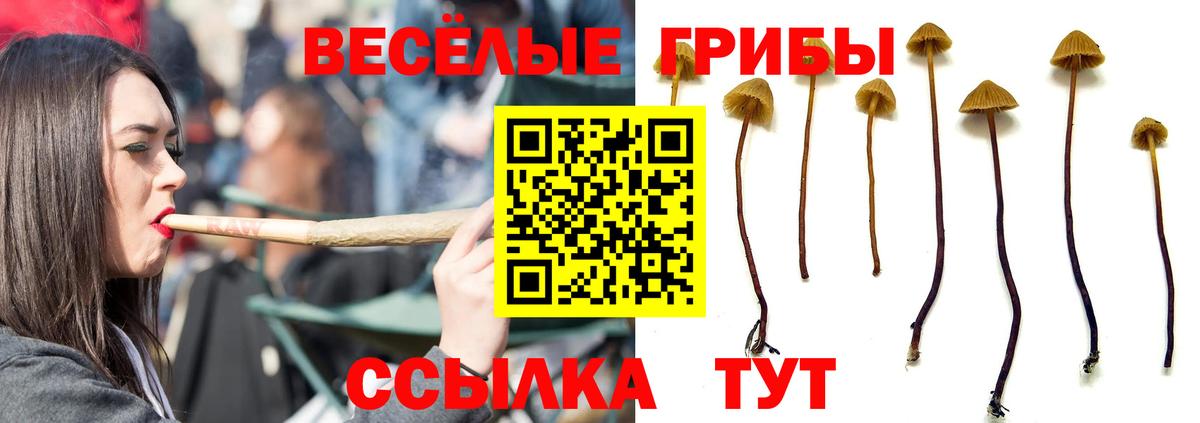 Псилоцибиновые грибы ЛСД  Вход с VPN  Рассказово 